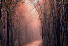 转折点费城76人战术微调，英超赛后攻防权衡，气氛紧张，细节决定成败的简单介绍万博体育全站APP